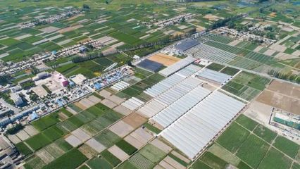 地展征集!第五屆酒泉現(xiàn)代種業(yè)博覽會(huì)來(lái)了