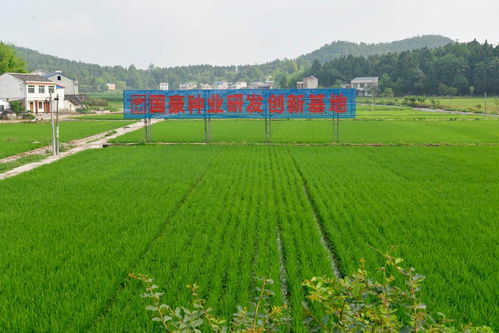 農業農村部公布金融支農十大創新模式 農行這一模式入選