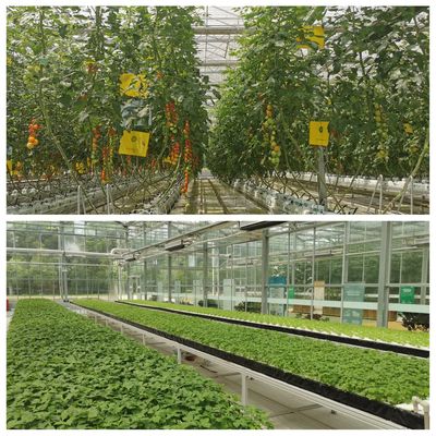 用心耕耘 以&ldquo;芯&rdquo;前行 ! 2022武漢種博會(huì)6月2日&ldquo;火熱上線&rdquo;