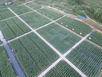 福建圓旺元種子集團(tuán)蔬菜種業(yè)科技小院成功入圍中國(guó)農(nóng)技科技小院名單