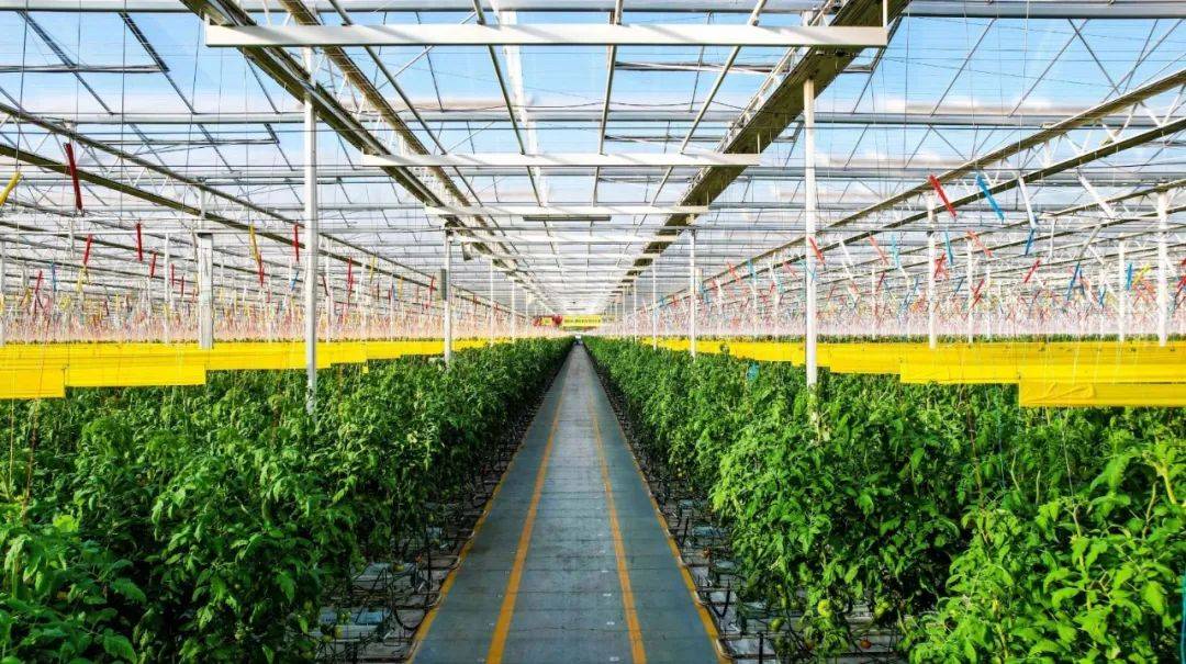 政策導(dǎo)向|首提1.4萬億斤糧食產(chǎn)量新目標(biāo),有何依據(jù),如何實(shí)現(xiàn)?_農(nóng)業(yè)_生