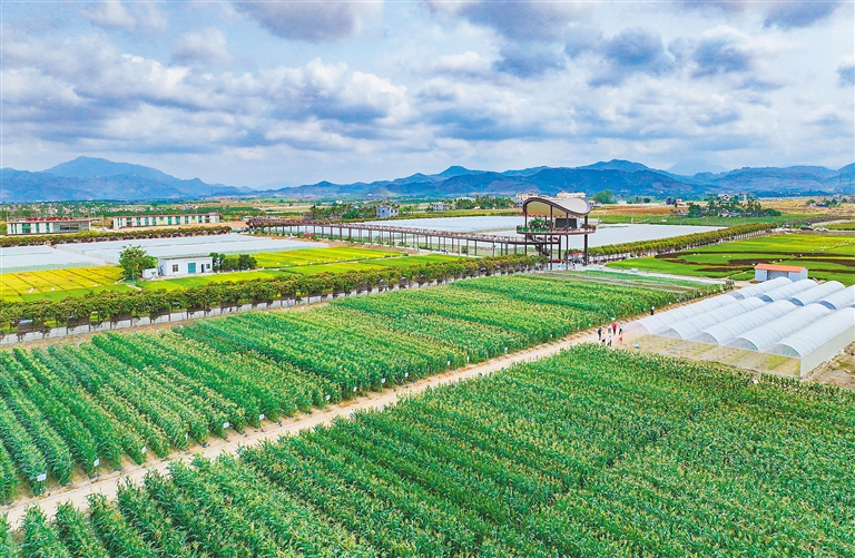 海墾集團(tuán)堅(jiān)持“項(xiàng)目為王”，多舉措推進(jìn)產(chǎn)業(yè)升級(jí)與墾地融合