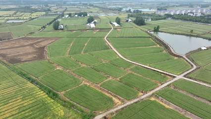 安徽白湖種業(yè)創(chuàng)新研發(fā)兩個(gè)小麥新品種，助力種業(yè)高質(zhì)量發(fā)展