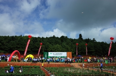 2019云南蔬菜種業博覽會開幕，推動種業創新與蔬菜產業升級